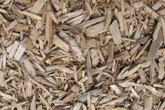biomass boilers Tolcarne Wartha